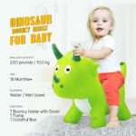 bouncy dinosaur toy